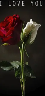 Two roses with 'I Love You' on a dark background.