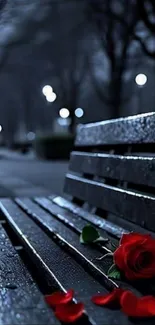 Red rose resting on a wet park bench at night.