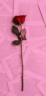 Single red rose on a pink backdrop of scattered pages.