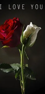 Red and white roses with 'I Love You' text on a dark background.