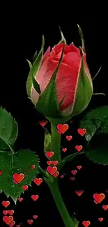 Close-up of a rosebud with red heart shapes on a black background.
