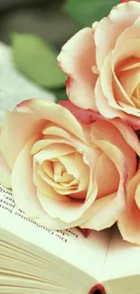 Romantic roses placed on an open book.