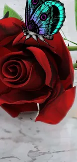 Red roses and tickets on marble surface.