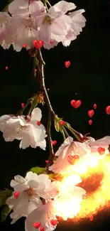 Sakura blossoms with glowing hearts in a romantic floral mobile wallpaper.