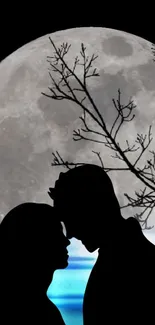 Silhouette of a couple under a moonlit sky.