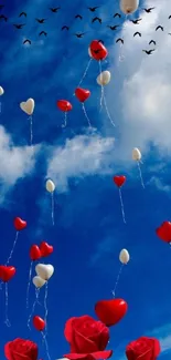 Heart balloons and red roses in a blue sky background.