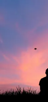 Silhouette against a pastel pink and blue sunset sky.