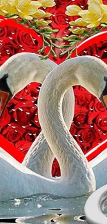 Two swans forming a heart with red roses background.