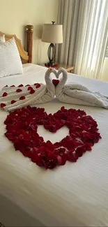 Romantic swan towel art with heart-shaped rose petals on a white bed.