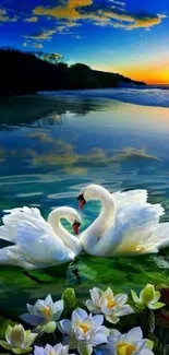 Romantic swans on lake during sunset, with serene water lilies and scenic backdrop.