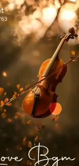 Violin with autumn leaves and warm lighting.