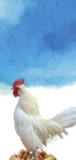 White rooster on hands with blue sky background.