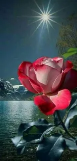 Vibrant red rose with starry sky and lake scene.