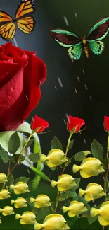 A vibrant red rose with two butterflies against a lush green background.