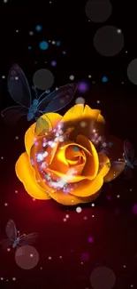 Yellow rose and butterflies on dark background.