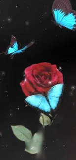 Captivating wallpaper with blue butterflies and red rose on black background.