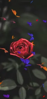 Red rose with butterflies on dark green background.