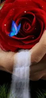 Red rose with butterflies and flowing sand in hand.