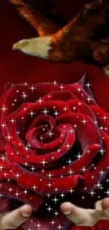 Sparkling red rose with an eagle in background on wallpaper.