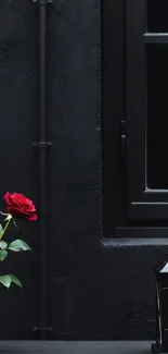 Minimalist wallpaper of a rose and lantern by a window.