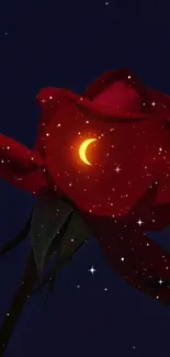 Artistic rose with glowing moons and dark background.