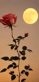 Rose silhouette with full moon background.