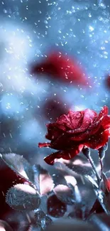 Red roses against a blue snowy background, creating an elegant aesthetic.