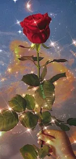 Hand holding red rose with sparkly stars in a starry sky background.