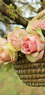 Basket of pink roses hanging on a tree branch.