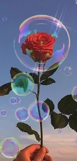 Red rose inside a bubble held against a clear blue sky.