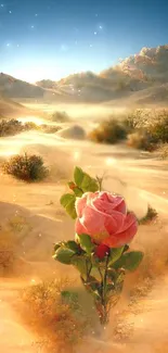 Golden desert sunset with a single rose in bloom under starlit sky.