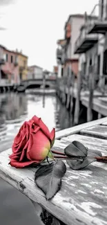 Red rose on a monochrome waterfront boardwalk, perfect for mobile wallpaper.