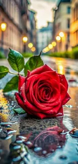 Vibrant red rose on a wet cobblestone street at dusk.