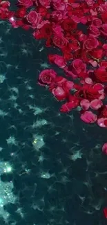 Vibrant rose petals floating on teal water.