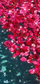 Red rose petals shimmer on water background.