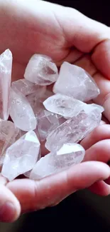 Hands gently holding rose quartz crystals, symbolizing peace and healing.