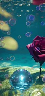 Underwater pink rose amid bubbles on a teal backdrop.