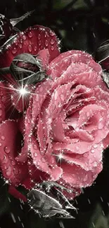 Mobile wallpaper of a sparkling red rose with dewdrops.