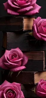 Pink roses on stacked vintage books for a classic wallpaper.