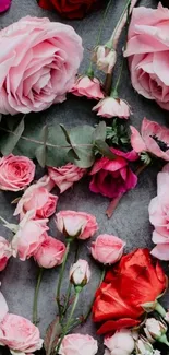 Mobile wallpaper featuring pink and red roses on a gray background.