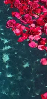 Red roses float on aqua water, creating a serene and vibrant mobile wallpaper.