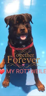 Rottweiler on blue background with 'Together Forever' text.