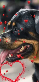 Rottweiler dog with artistic heart design in the background.