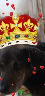 Dog wearing cartoon crown with scattered red hearts on a mobile wallpaper.