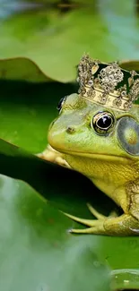 Crowned frog nestled on vibrant green leaves, exuding a royal fantasy vibe.