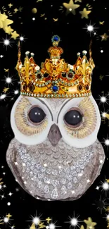 Royal owl with a sparkling golden crown against a starry black background.