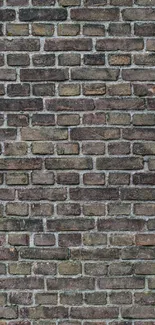 Rugged brown brick wall texture mobile wallpaper.