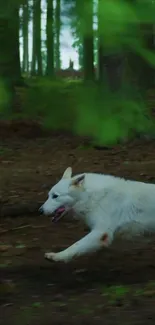 White dog running in dense green forest background.