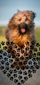 Playful dog running with heart-shaped paw print in nature.