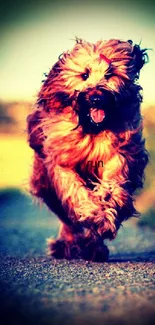 Energetic fluffy dog running on a scenic path in vibrant lighting.